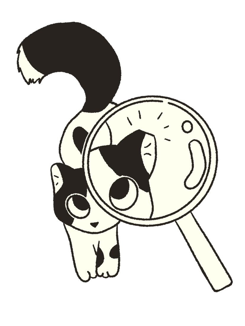 Join Amichi Community